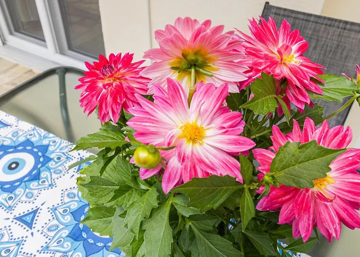 Chrysiis Nikiti (Sithonia)