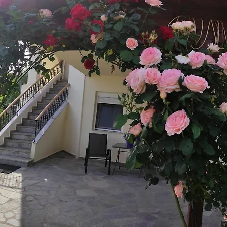 Apartman Chrysiis