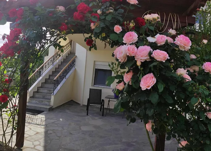 Apartman Chrysiis